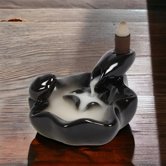 Pool to Pool Backflow Incense Burner
