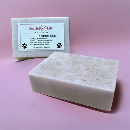 Coat Shine Dog Shampoo - Solid Bar